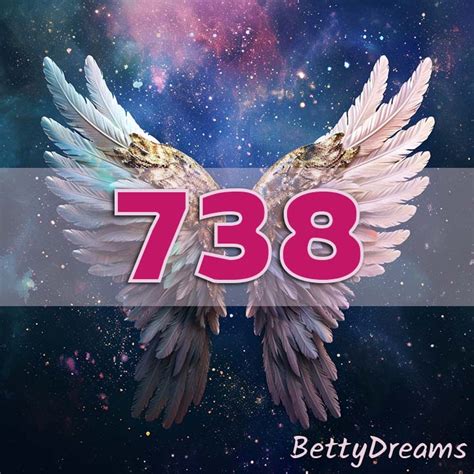 738 angel number